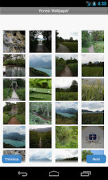 Forest Wallpaper by Right Brain Mobile poster 1