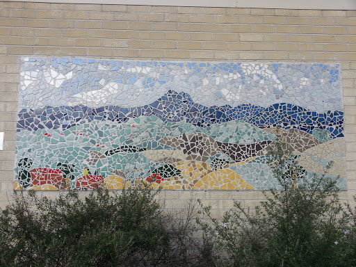 Illawarra Court Mosaics 