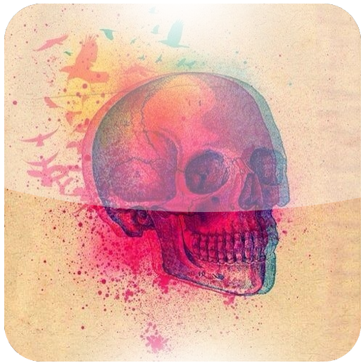 Skull Wallpapers Selection