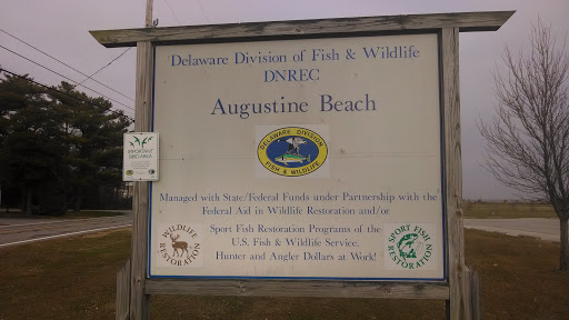 Augustine Beach