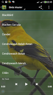 How to download Kicauan Burung Terbaik 1.0 unlimited apk for laptop