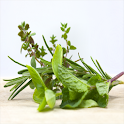 Herbal Remedy Secret Uncovered logo