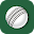 Cricket WC 2015 - Australia Download on Windows