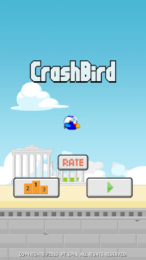 Crash Bird