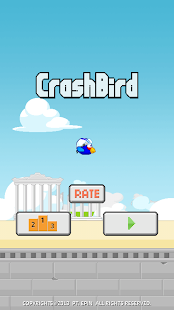 Crash Bird