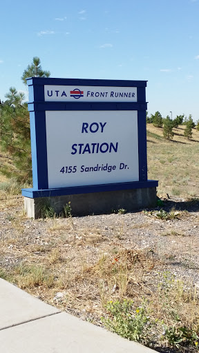 Roy Front Runner 
