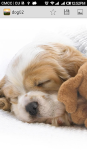 Wallpapers Screenshots 9