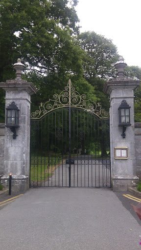Adare Manor Side Gate