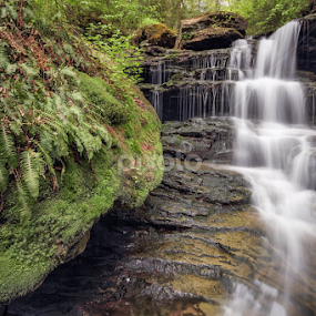 Forgotten Falls May 2014 by Aaron Campbell - Nature Up Close Other Natural Objects