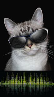 Lastest Cute Cat Games APK for Android