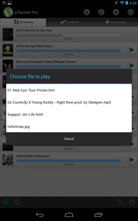 µTorrent® Pro - Torrent App - Android Apps on Google Play