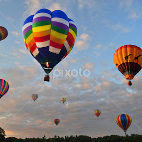 Many Balloons by Corinne Noon - Transportation Other