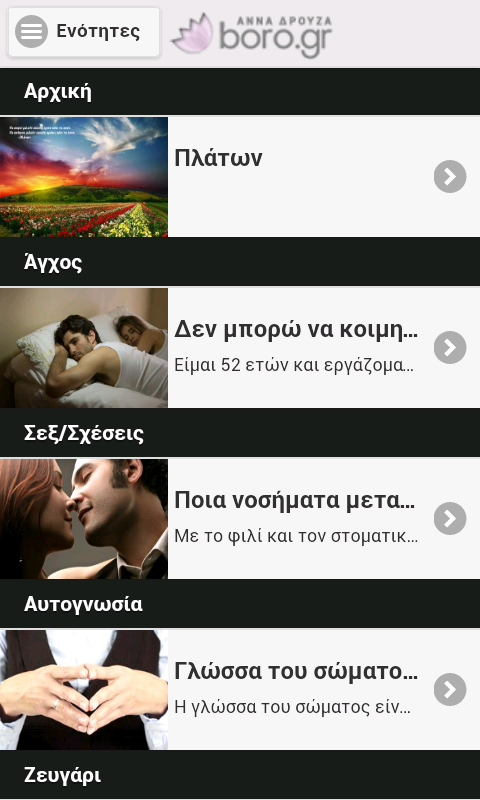 Boro.gr Άννα Δρούζα - screenshot