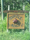 Turtle Beach 