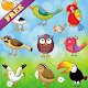 Coloring Book: Birds ! FREE APK