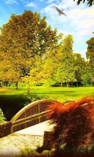 How to install Zen Garden Live Wallpaper 6.0 mod apk for android