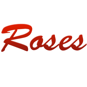 Roses New York Restaurant 1.0 Icon