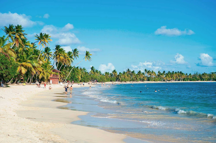 The scenic, sandy coves of Grande Anse des Salines Beach at Sainte-Anne in southern Martinique.