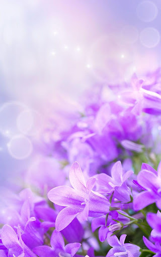 Gentle Flowers Live Wallpaper