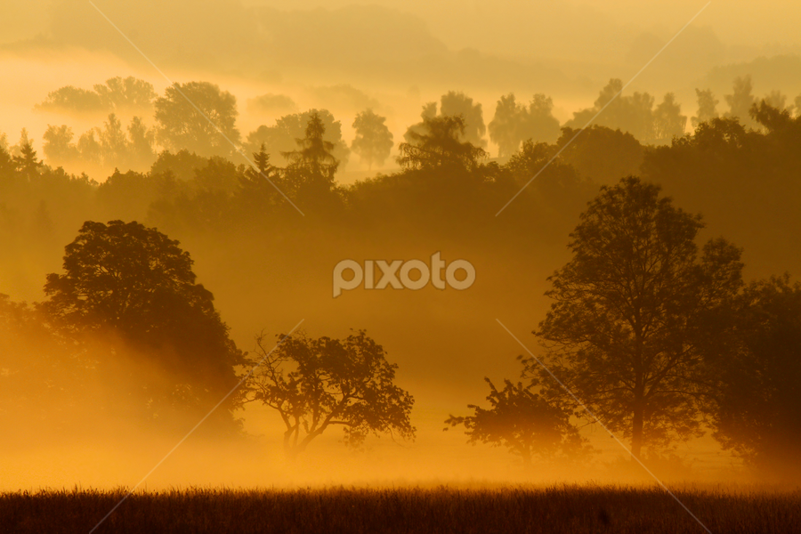 by Milan Horejsi - Landscapes Sunsets & Sunrises