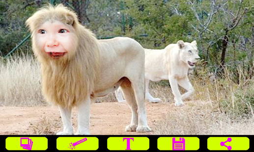 Free Download Lion Photo Frames APK