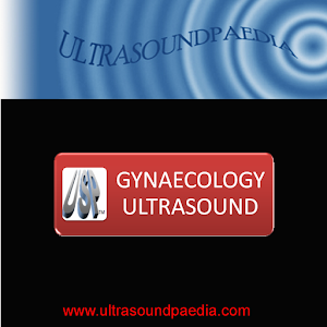 Gynecology Ultrasound