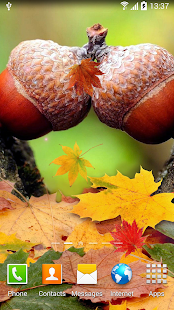 How to download Autumn Wallpaper patch 1.0.3 apk for laptop