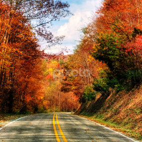 Beaverdam Road in Fall by Greg Mimbs - City,  Street & Park Neighborhoods