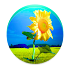 Sunflower PRO - Weather map1.3.4