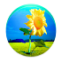 Sunflower PRO - Weather map1.3.4