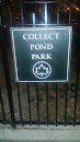 Collect Pond Park