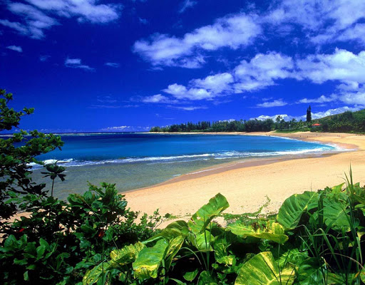 【免費旅遊App】Hawaii Landscape-APP點子