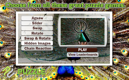Free Peacock Puzzle Games