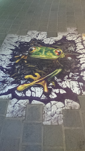 樹蛙3D彩繪