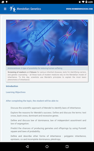 Mendelian Genetics