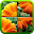 Nature Puzzle Download on Windows