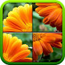 Nature Puzzle Game icon