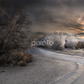 Morning Frost in Wyoming by Stacey Atkinson - Landscapes Weather