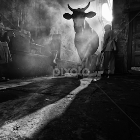 Wait, Im comin... by Oms Datum Photography - Black & White Street & Candid
