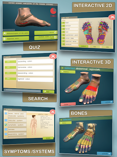 Total Reflexology 3D