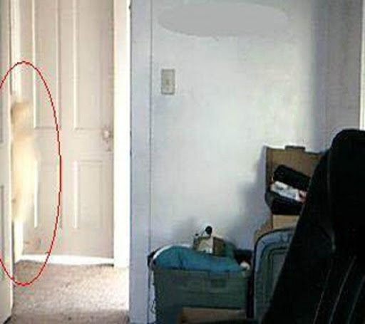 Real Ghosts In Photos