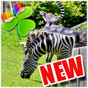 Zoo Animal - GO Launcher Theme icon