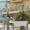 Brown Pelican on Dock Piling