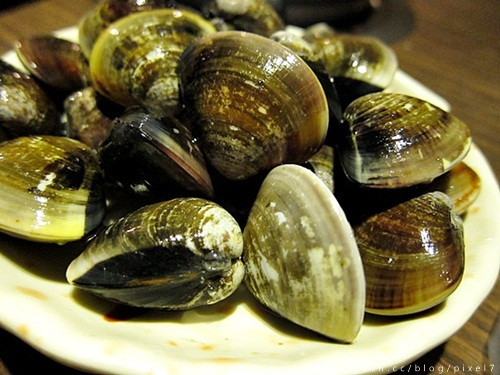 小火鍋吃到飽‧鍋爸涮涮鍋- 台北/新店