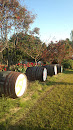 花園の大樽　- barrels in the garden -
