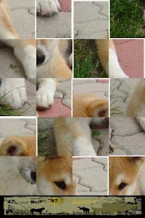 How to install Dog Puzzle: Akita patch 3.0.1.0 apk for android