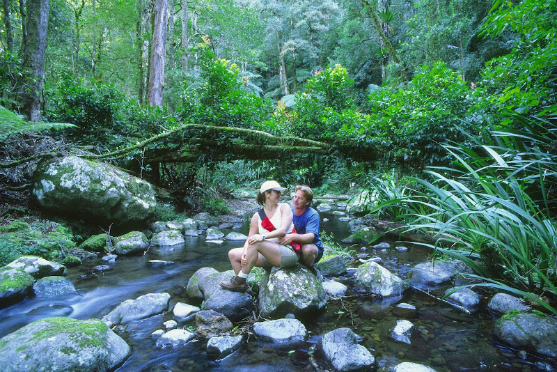 A couple on the Brindle Creek Walk at Border Ranges National Park, Northern Rivers, New South Wales, Australia.