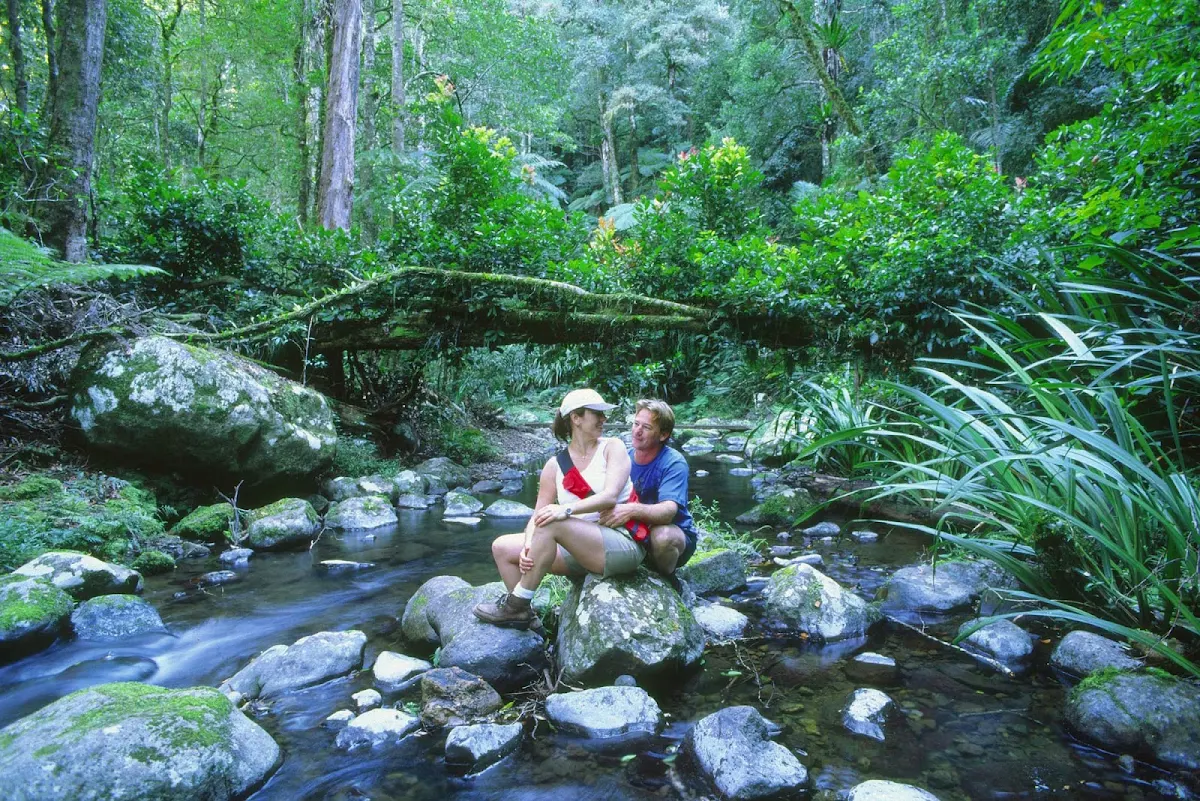 Border_Ranges_National_Park - Couple on the Brindle Creek Walk at Border Ranges National Park, Northern Rivers, New South Wales, Australia.