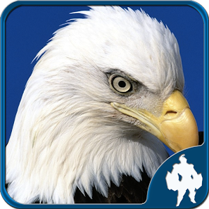 Birds Jigsaw Puzzles Game.apk 1.6.0
