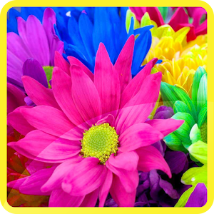Flowers Photo Wallpaper.apk 1.0